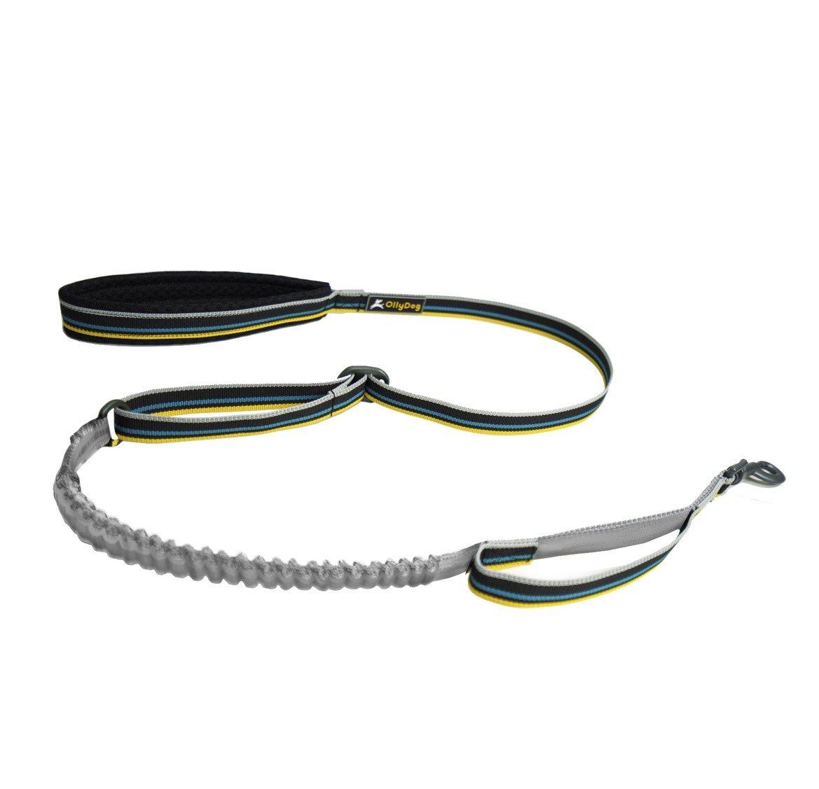 OllyDog Urban Trail Adjustable Reflective Spring Dog Leash, Anthracite