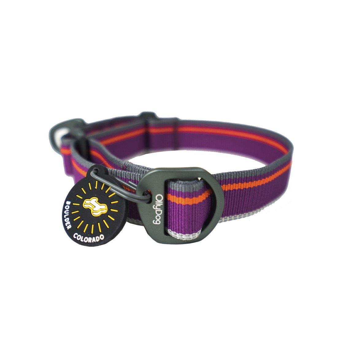 OllyDog Martingale Mesa Dog Collar, Wild Aster, Small