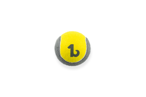 BeOneBreed Sturdy Breed Ball Dog Toy, 2.5-in