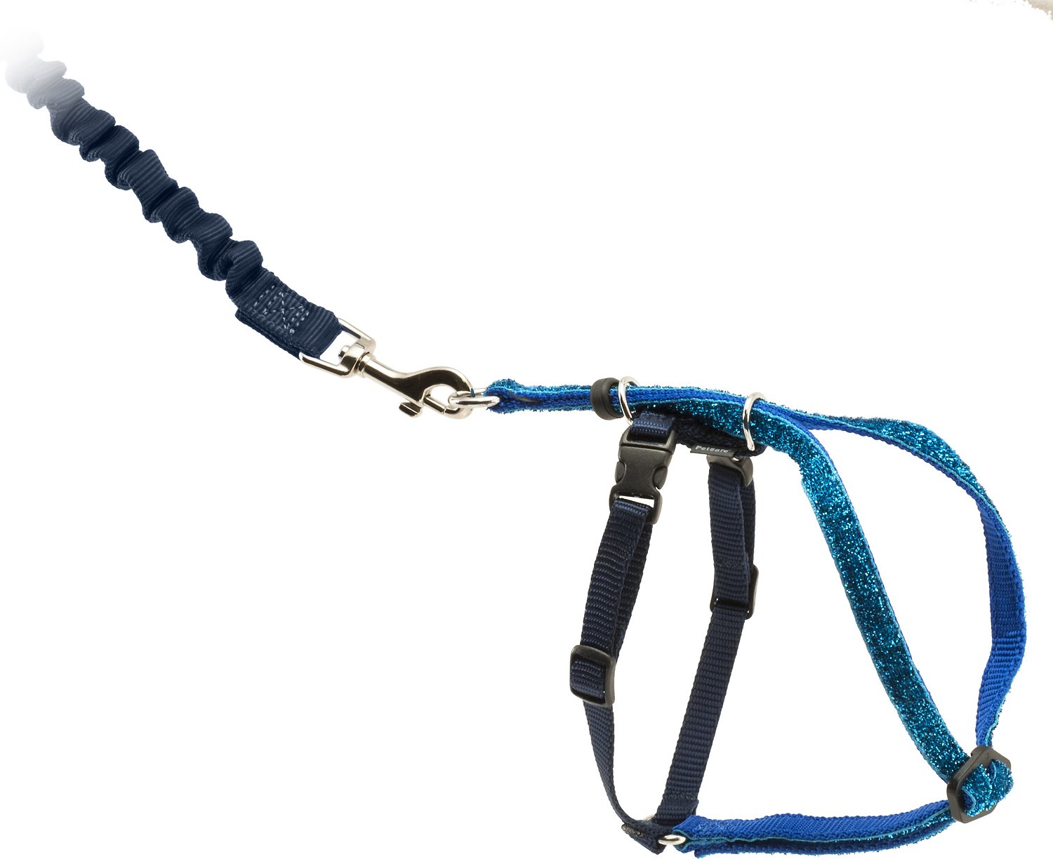 PetSafe Come With Me Kitty Glitter Harness & Bungee Cat Leash, Blue