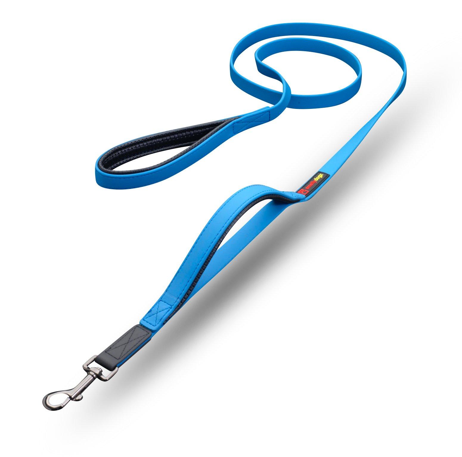 smellydogz Double Handle Dog Leash, Blue