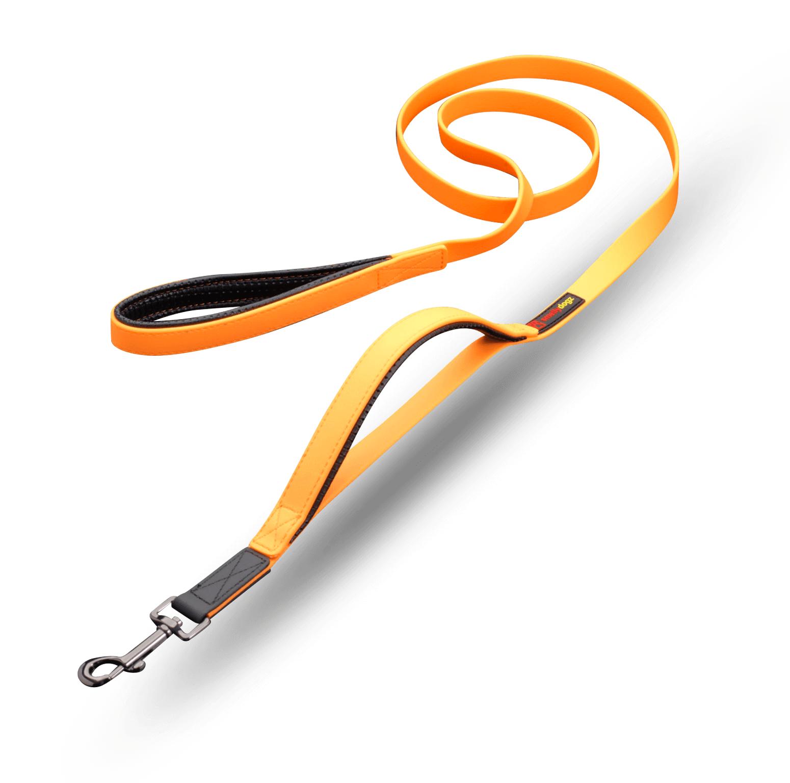 smellydogz Double Handle Dog Leash, Orange, 3/4-in x 6-ft