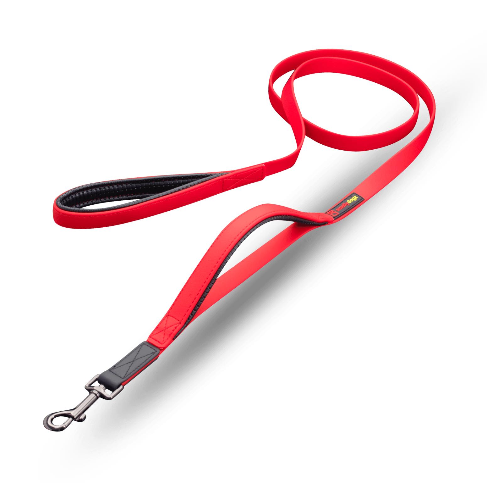 smellydogz Double Handle Dog Leash, Red