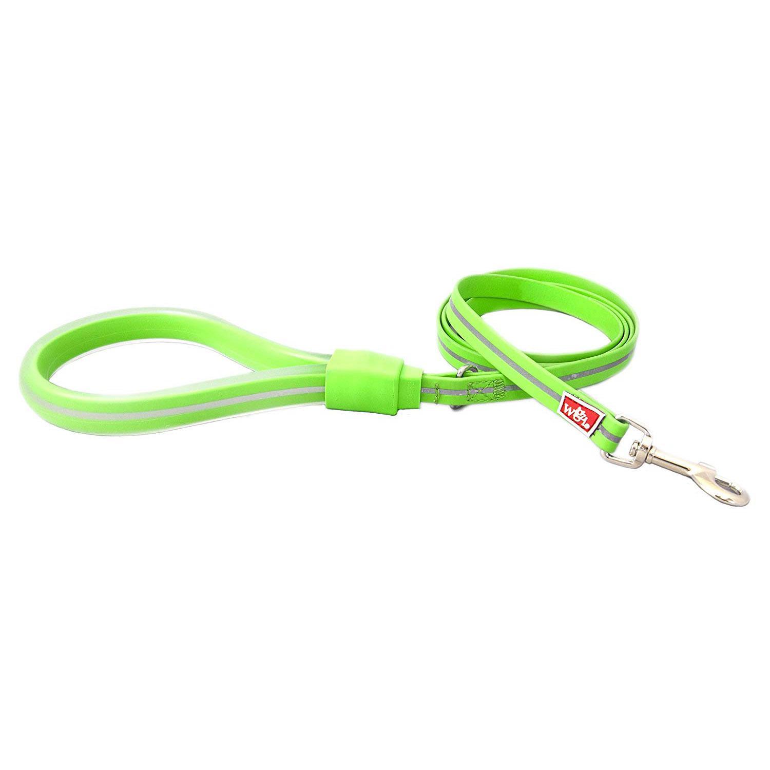 Wigzi Weatherproof Dog Leash, Green
