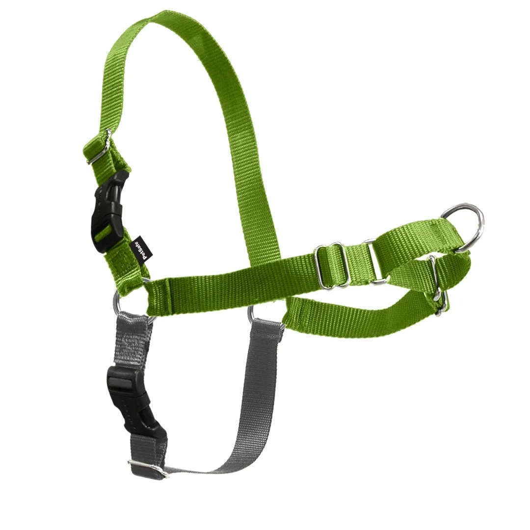 PetSafe Easy Walk Dog Harness, Apple Green, Medium/Large
