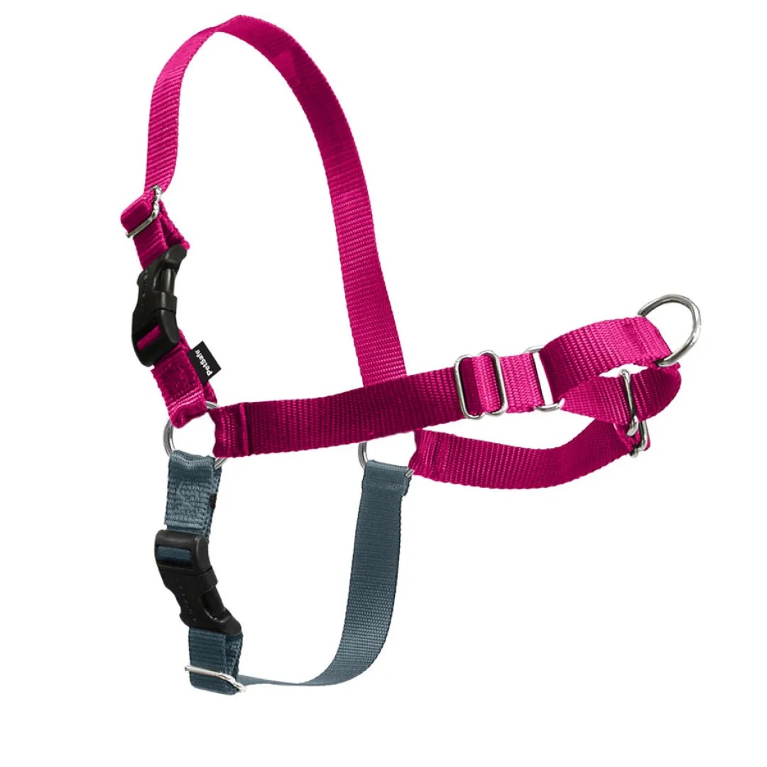 PetSafe Easy Walk Dog Harness, Raspberry/Gray, Small/Medium