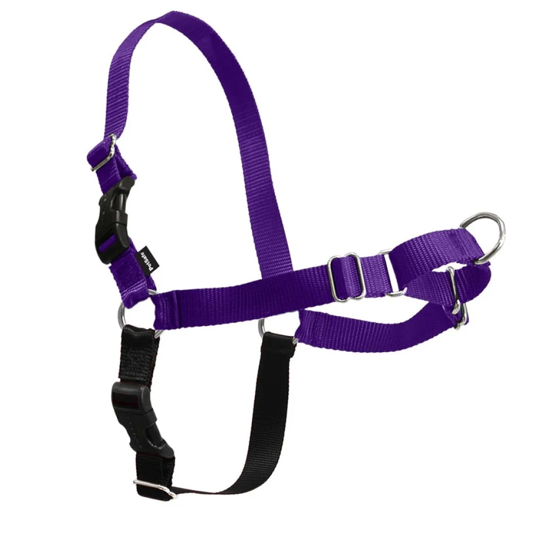PetSafe Easy Walk Dog Harness, Purple/Black, X-Large