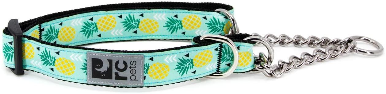 RC Pets Training Dog Collar, Pineapple Parade, Medium