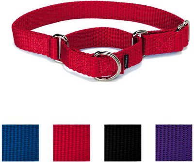 PetSafe Premier Martingale Dog Collar, Red, Medium, 1-in