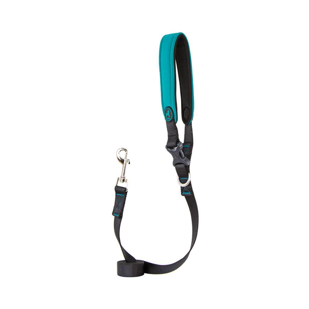 Gooby Escape Free Sport Dog Leash, Turquoise, 4-ft