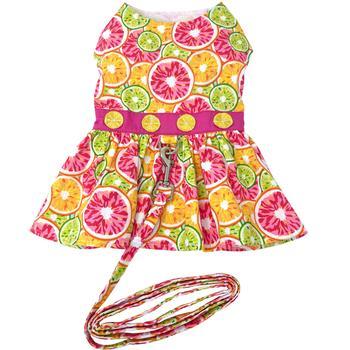 Doggie Design Dog Harness Dress with Matching Leash, Citrus Slice, X-Small