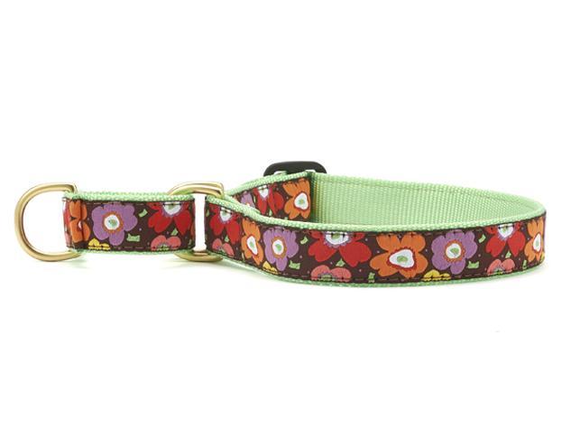 Up Country Martingale Dog Collar, Mod Floral, 1-in x 12-18-in