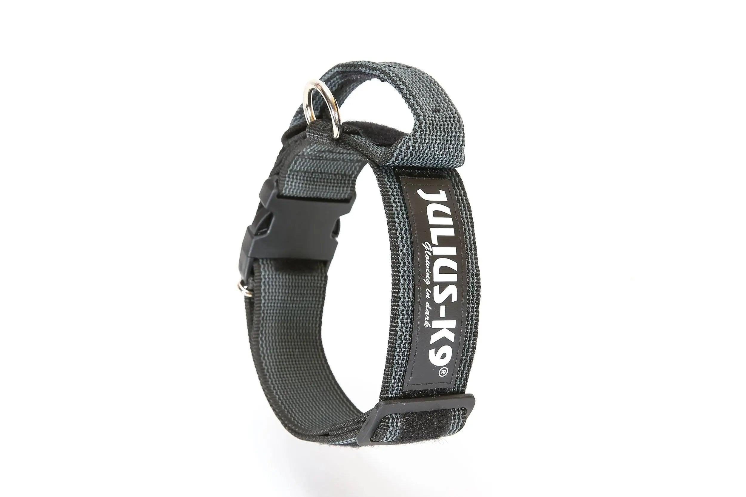Julius-K9 Color & Gray Collar with Handle, Safety Lock & Interchangeable for Dogs, Black, 1.9-in x 19.3-27.6-in