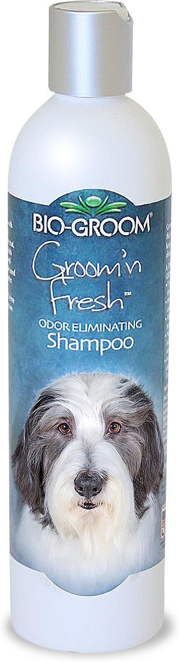 Bio-Groom Groom 'N Fresh Dog Shampoo, 12-oz