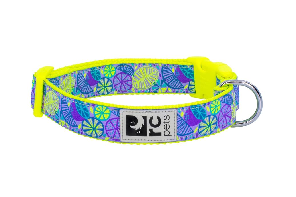 RC Pets Clip Dog Collar, Citrus, Large