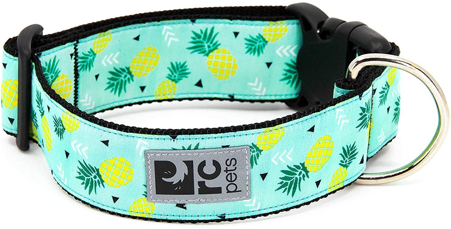 RC Pets Wide Clip Dog Collar, Pineapple, Medium