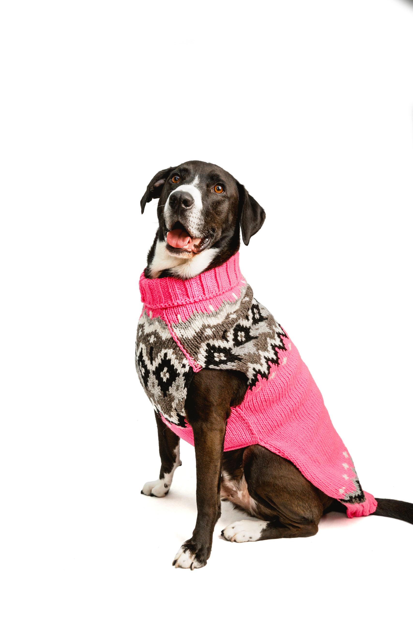 Chilly Dog Fairisle Dog Sweater, Bubblegum Pink