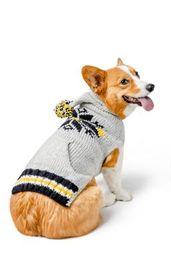 Chilly Dog Snowflake with Pompom Dog Hoodie, Yellow/Navy