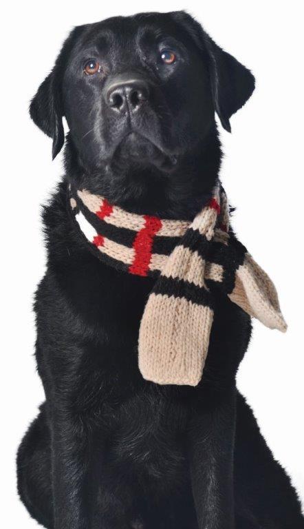 Chilly Dog Plaid Dog Scarf, Tan, Medium