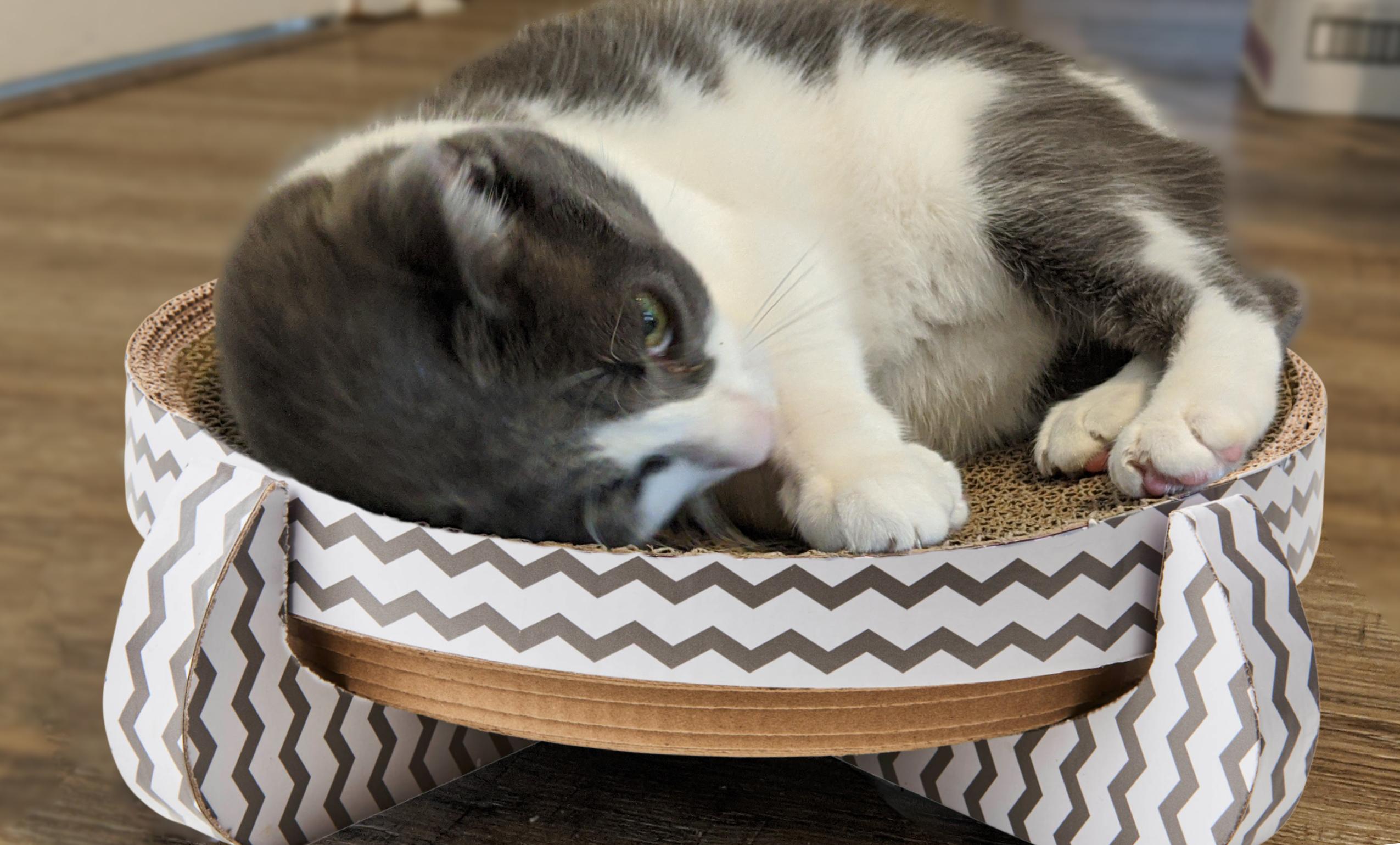 Ethical Pet Nest Scratcher Cat Toy, 14-in