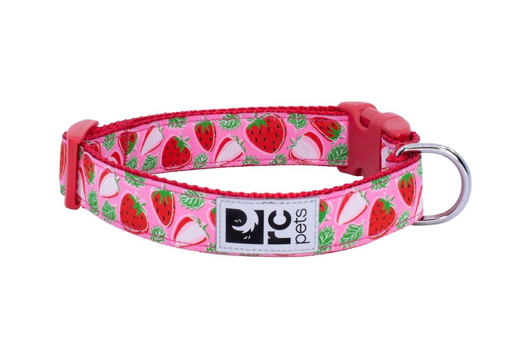 RC Pets Clip Dog Collar, Strawberries, XX-Small
