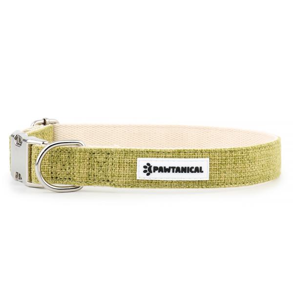 Pawtanical Dog Collar, Grass Green
