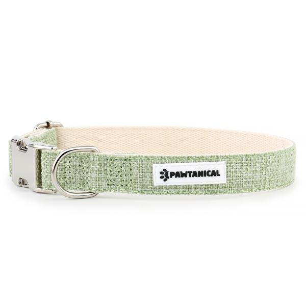 Pawtanimal Collier pour chien, Vert clair, 5/8-po x 8-12-po