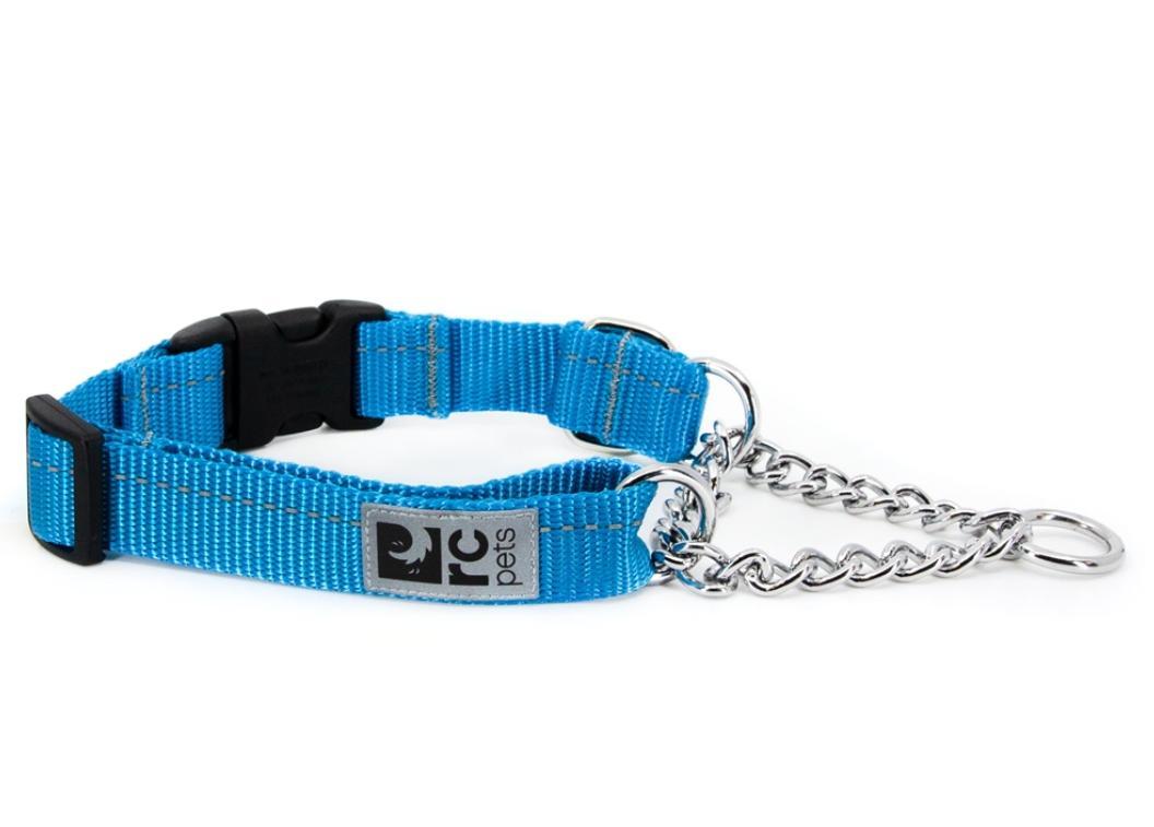 RC Pets Primary Training Clip Dog Collar, Cyan, Large