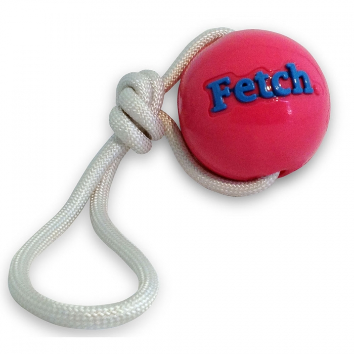 Planet Dog Orbee Fetch Ball with Rope, Pink