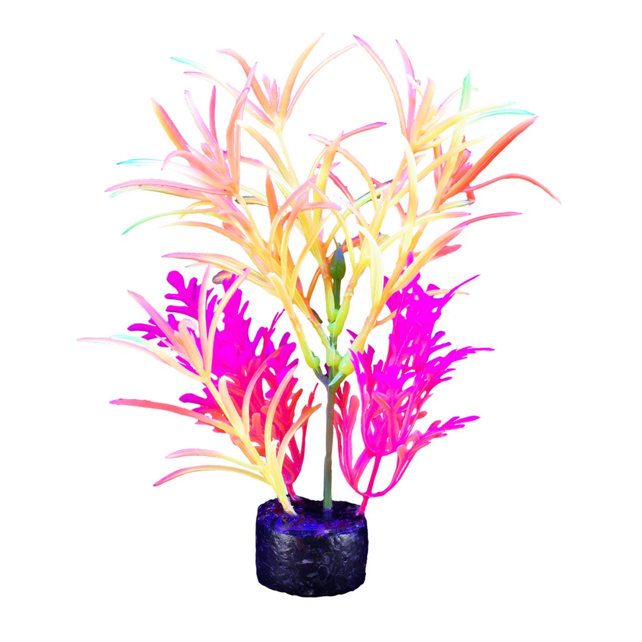 Marina iGlo Fountain Plant Aquarium Plant, Orange/Yellow/Pink, 7.5-in