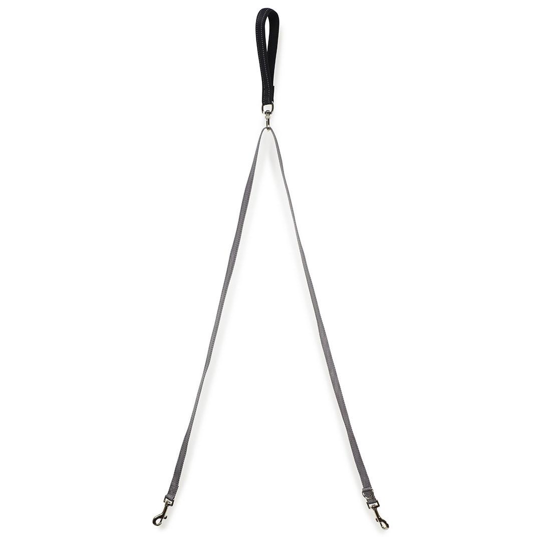 Pet Safe Two Point Control Dog Leash