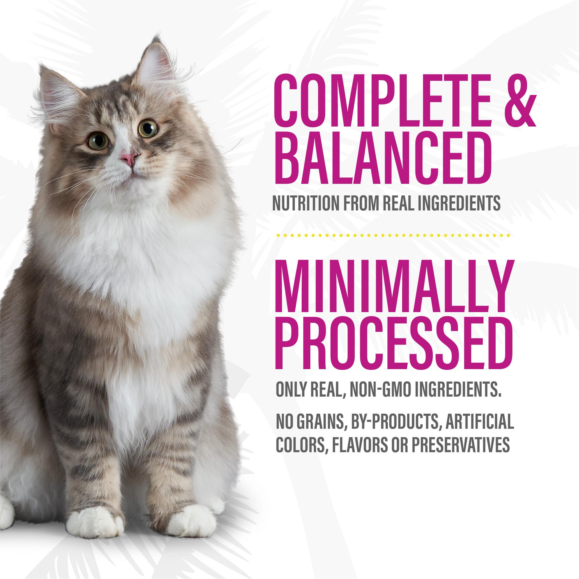 Tiki Cat After Dark Soft Pate Duck & Chicken Liver Wet Cat Food Can, 3-oz