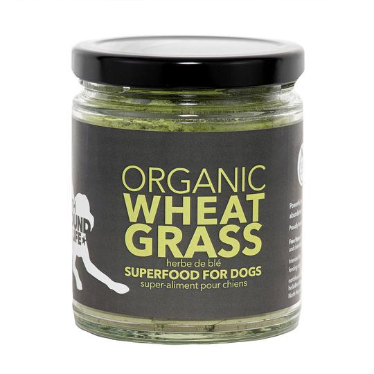 North Hound Life Organic Wheatgrass