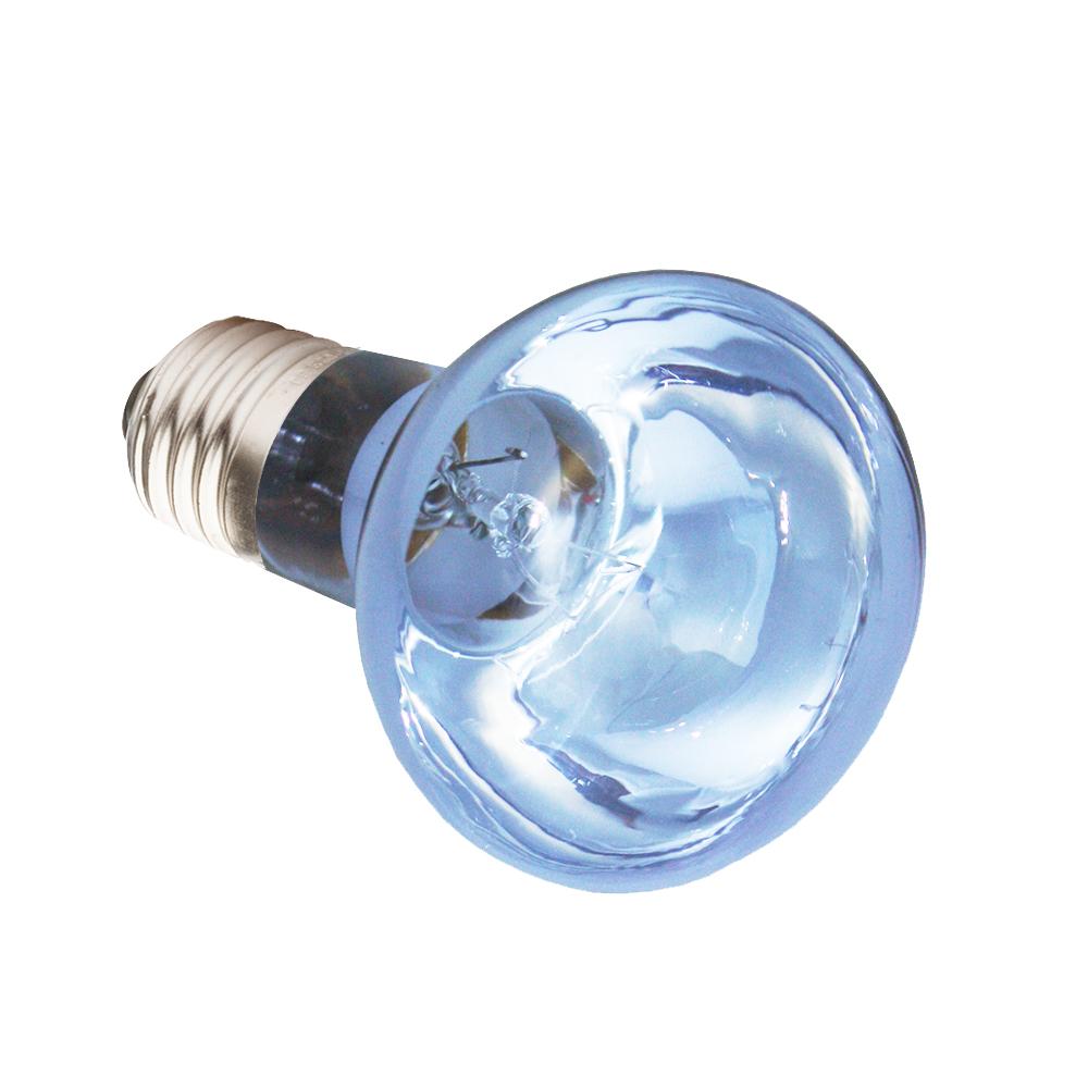 Komodo Neodymium Daylight Spot Bulb for Reptiles, 50-watt