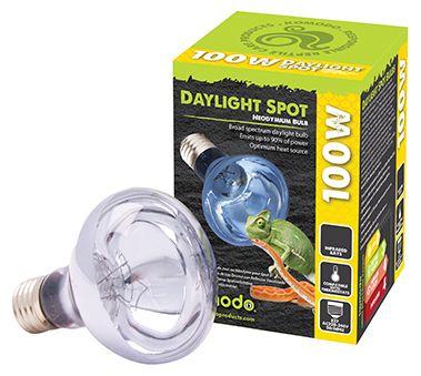 Komodo Neodymium Daylight Spot Bulb for Reptiles, 100-watt