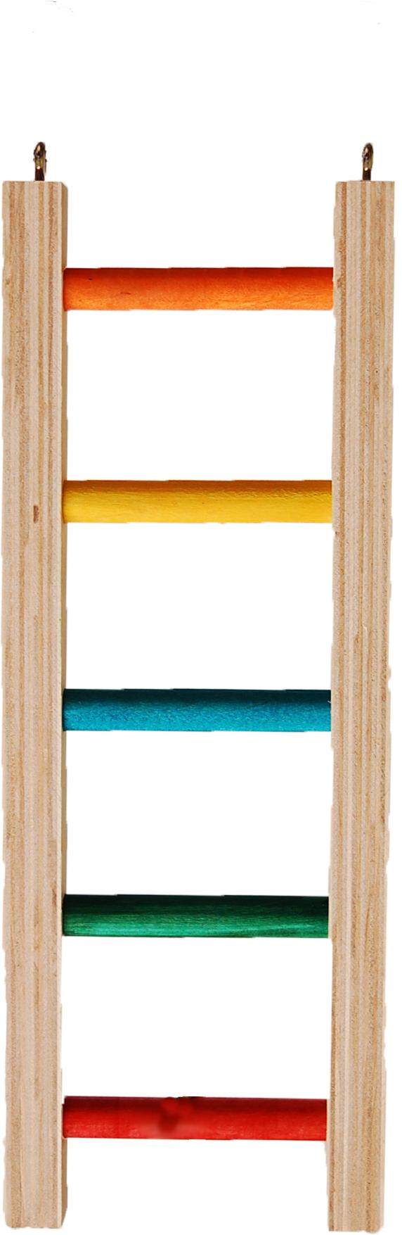 Zoo-Max Hardwood Ladder Bird Toy