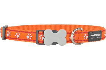 Red Dingo Desert Paws Dog Collar, Orange