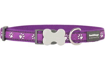 Red Dingo Desert Paws Dog Collar, Purple