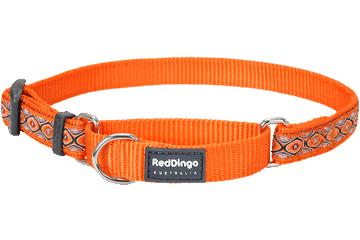 Red Dingo Martingale Dog Collar, Snake Eyes Orange