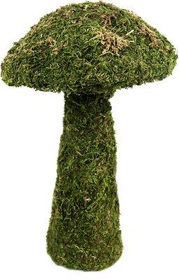 Galapagos SuperMoss Garden Mushroom for Terrariums, Small