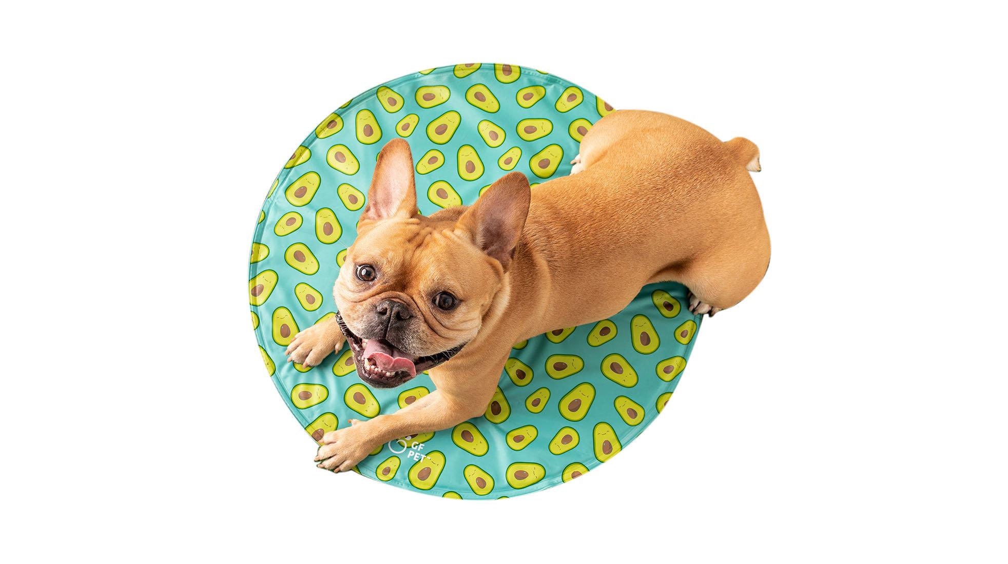 GF Pet Tapis de refroidissement rond pour chien, aqua, 24 po