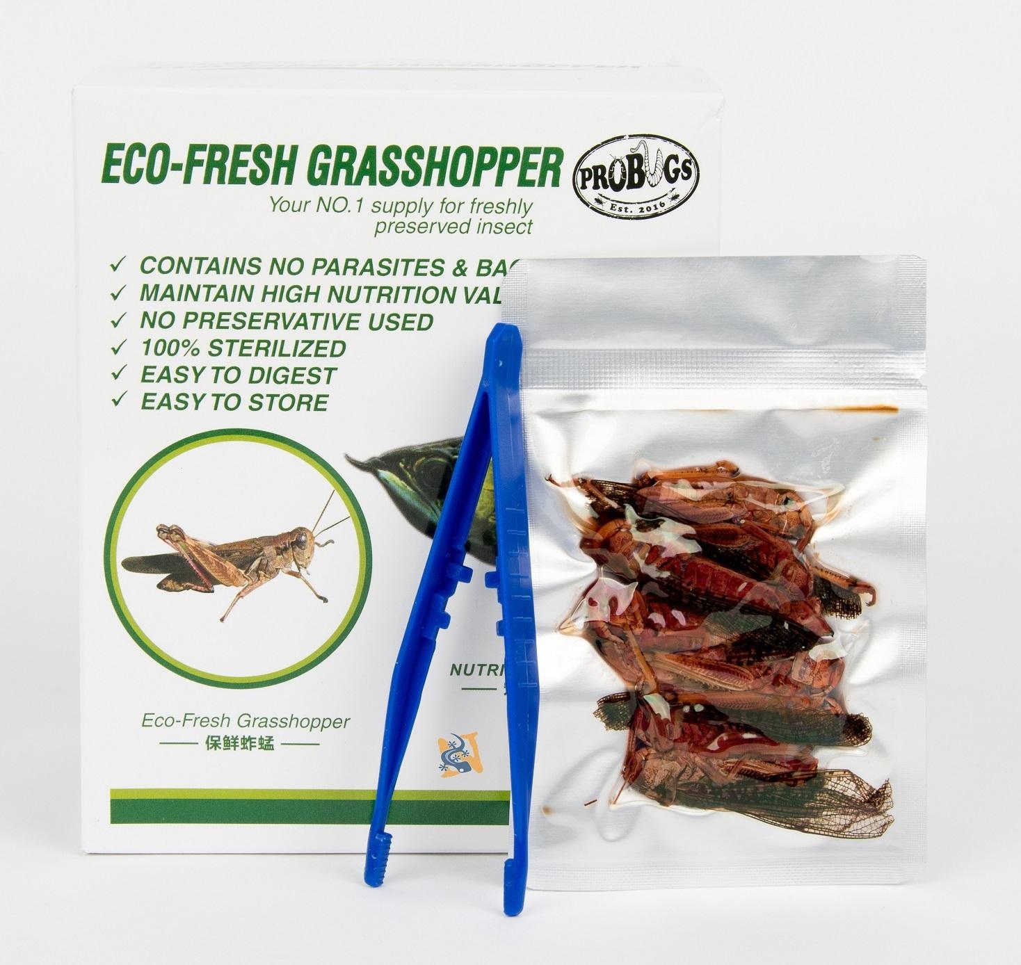 ProBugs Eco Fresh Grasshopper Pet Food, 8-pk