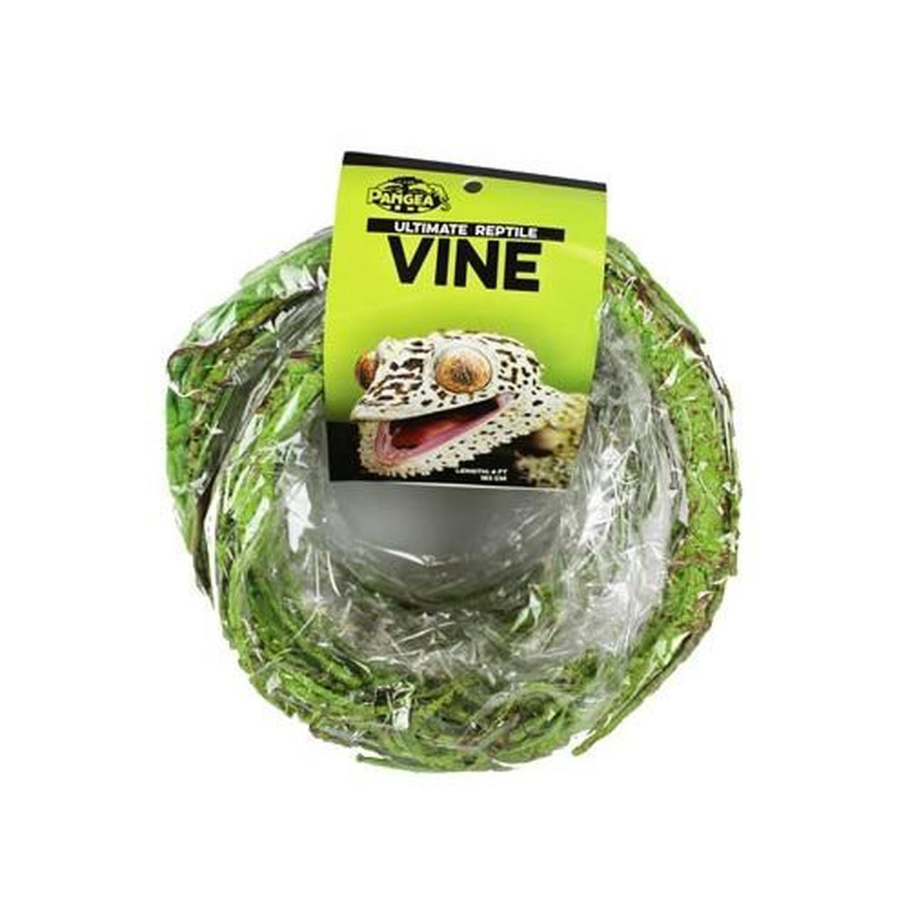 Pangea Ultimate Vine with Branches Terrarium Plant