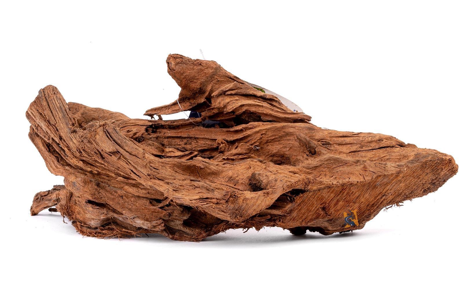 Aquaglobe Malaysian Driftwood for Aquariums, Medium
