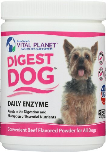 Vital Planet Digest Dog Daily Enzyme Beef Flavor Powder Dog Supplement