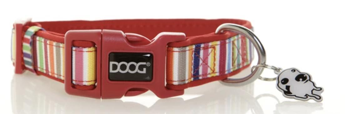 DOOG Neoprene Dog Collar, Scooby, X-Small