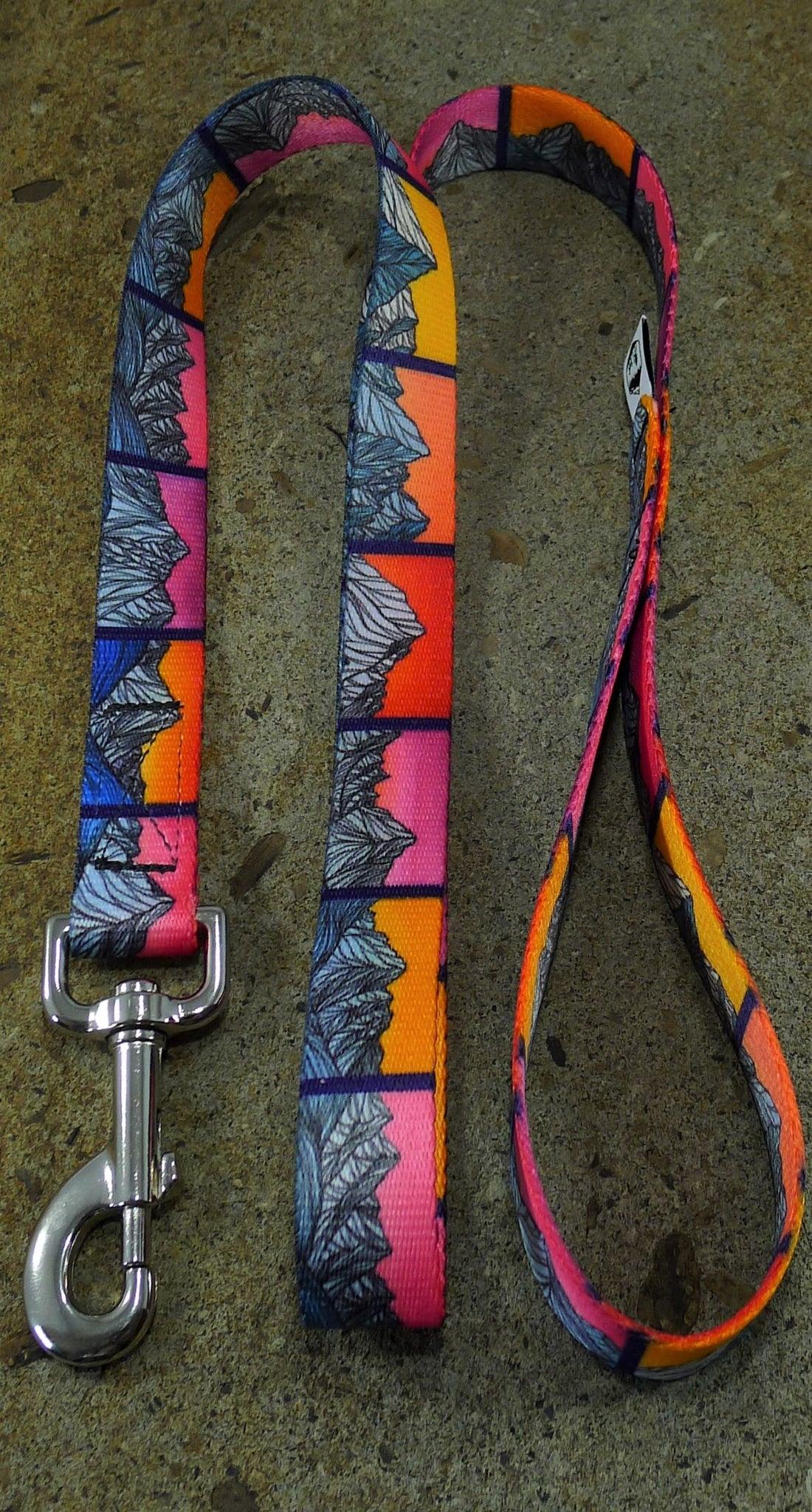 MTN Straps Dog Leash, Idaho 9, 4-ft