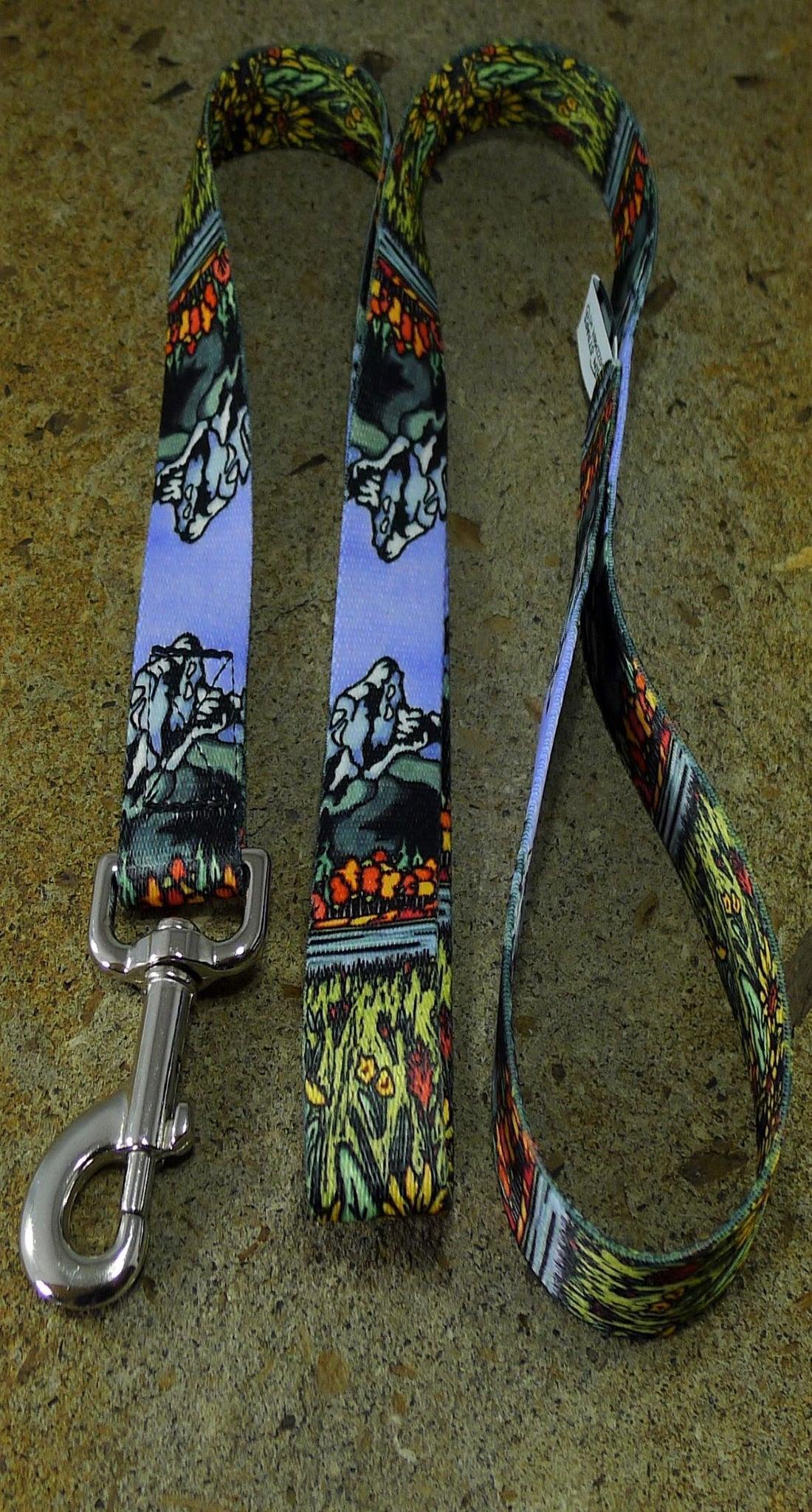 MTN Straps Dog Leash, Teton, 4-ft