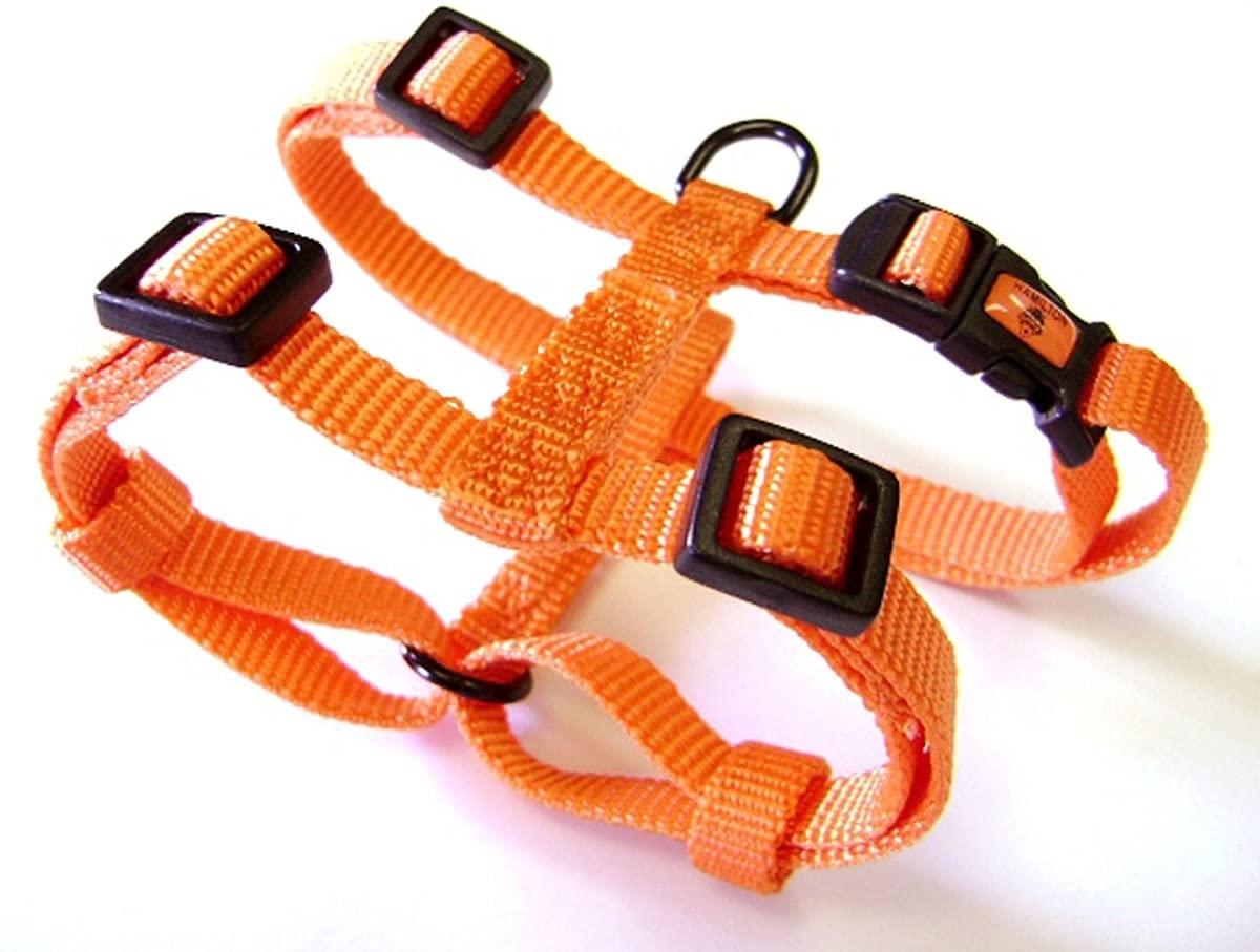 Hamilton Adjustable Nylon Comfort Dog Harness, Mango, 5/8-in x 12-20-in