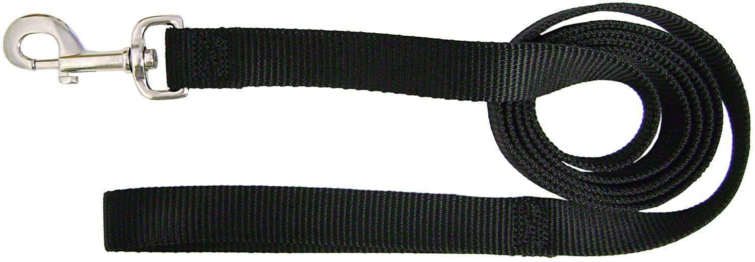 Hamilton Single Thick Nylon Dog Leash, Black, 5/8-in x 4-ft